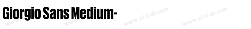 Giorgio Sans Medium字体转换
